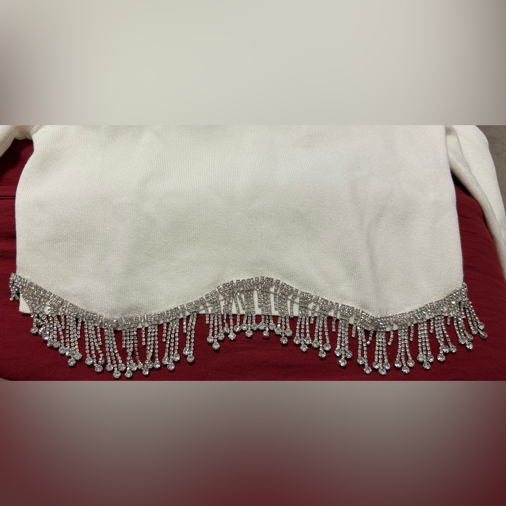 Lizette Collection Rhinestone Fringe Hem Crop Stretchy Top XL Club Nightwear - Picture 3 of 5